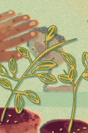 Pequeñas Historias Sobre la Soledad