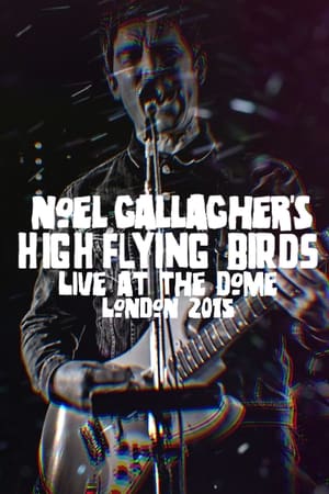 Noel Gallagher's High Flying Birds - Live at The Dome, London