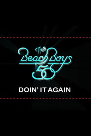 The Beach Boys: Doin' It Again