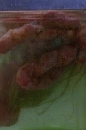 3. epizoda