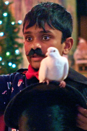 Can You Wrap a Pigeon?