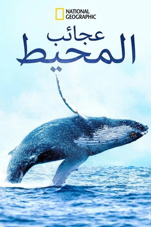 عجائب المحيط