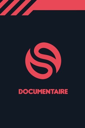 Imagen de Solary - Les deux ans