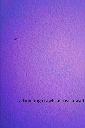 a tiny bug crawls across a wall