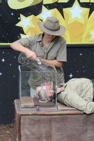 Who Dares Wins Stars