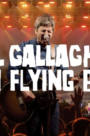 Noel Gallagher's High Flying Birds - Live at Wythenshawe Park, Manchester