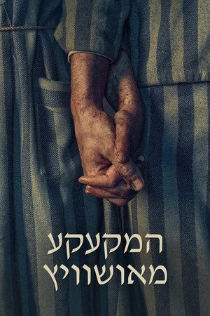 המקעקע מאושוויץ