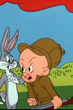 Wideo Wabbit