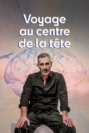 Voyage au centre de la tête