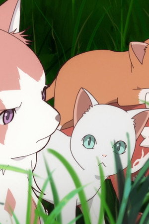 The Cat and the Dragon