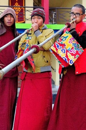 Tibet - Les nourritures terrestres