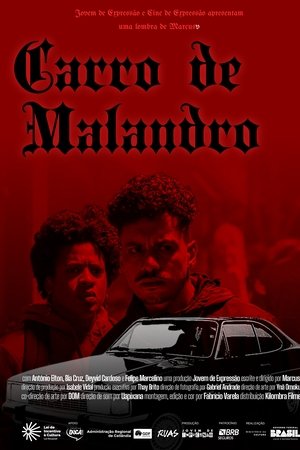 Carro de Malandro