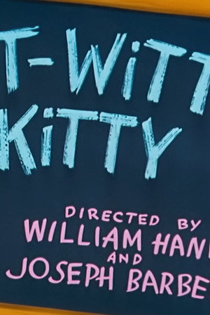 Nit-Witty Kitty