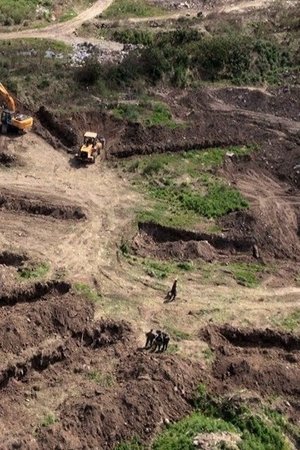 Tramas del Plan Cóndor