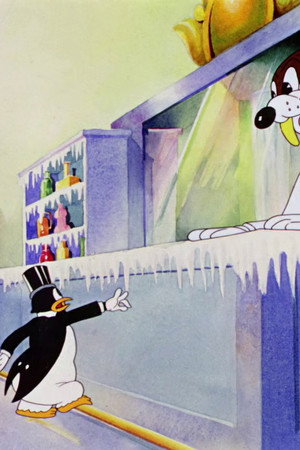 The Penguin Parade