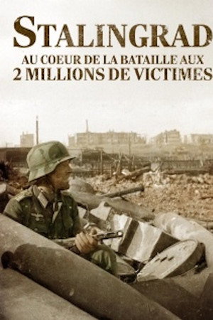 Stalingrad, au coeur de la bataille aux deux millions de victimes