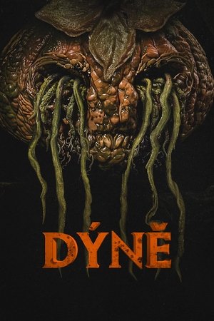 Dýně