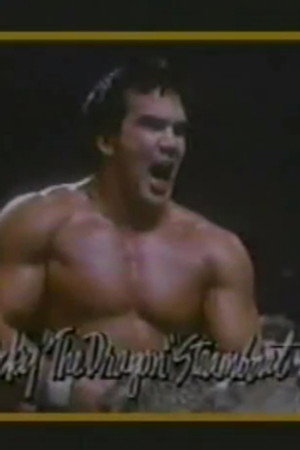 January 17, 1987 - Superstars of Wrestling #20