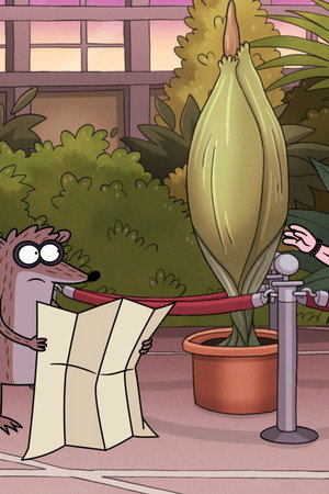 Corpse Flower