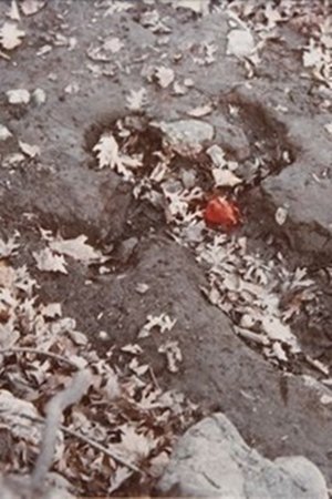 Corazón de Roca con Sangre