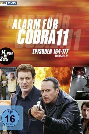 Season 23