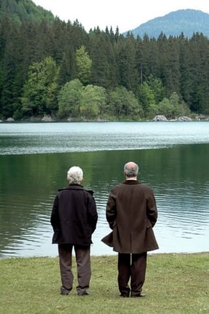 La ragazza del lago