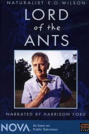 Lord of the Ants