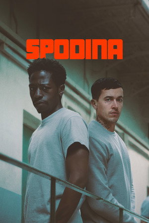 Spodina