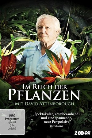 Kingdom of Plants 3D