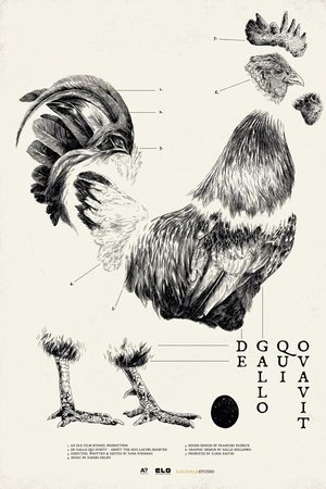 De Gallo Qui Ovavit