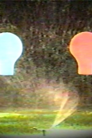 Water, Lightbulbs, Dying Bugs and Doorbells