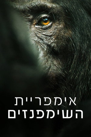 אימפריית השימפנזים