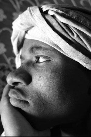 The Problem With Dogs