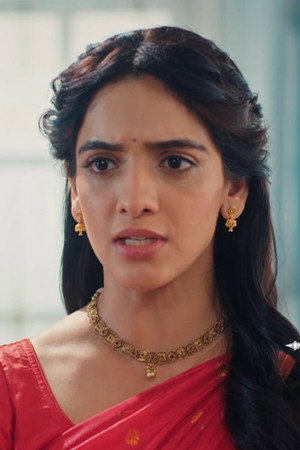 The Theft Takes Place at Jagadhatri’s House