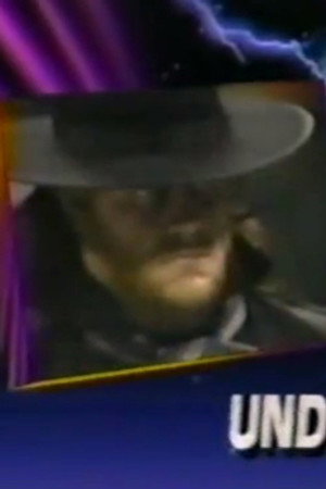 December 15, 1990 - Superstars of Wrestling 224