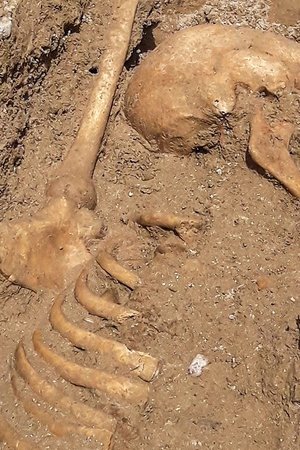 epizoda