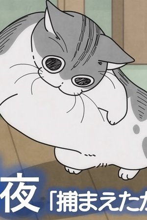 55. epizoda