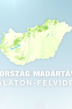 epizoda