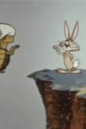 Rapid Rabbit