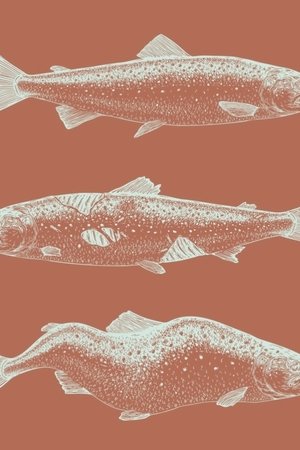 Laxaþjóð - A Salmon Nation
