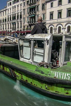 Trash Collecting in Venice, Australian Sheepskin, Pond Algae