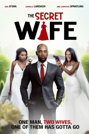 The Secret Wife