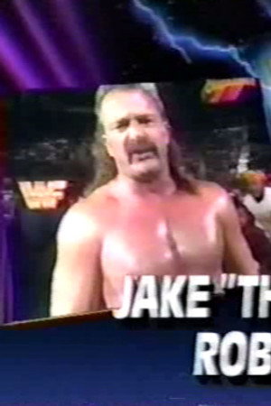 December 14, 1991 - Superstars of Wrestling 276
