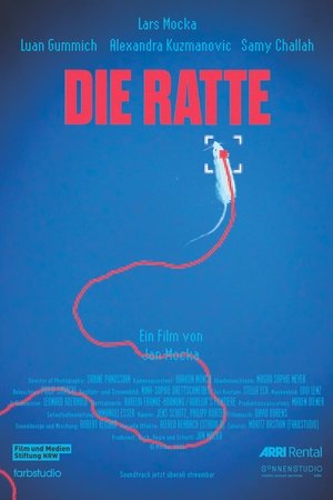 Die Ratte