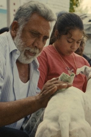 Ciudad sin sueño
