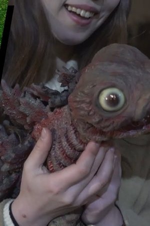 epizoda