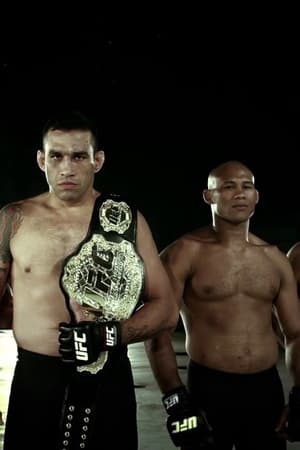 UFC 198: Werdum vs. Miocic