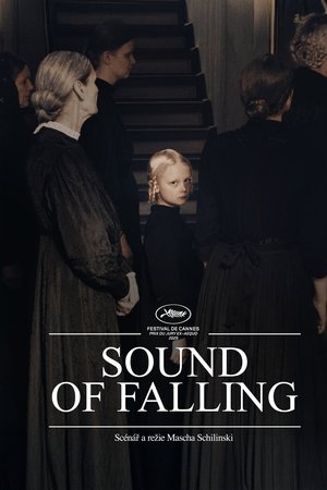 In die Sonne schauen