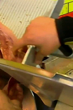 Cow Tongue