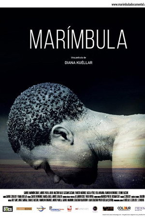Marímbula